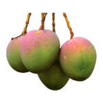 Bari 4 (বারি - ৪) Mango 1kg