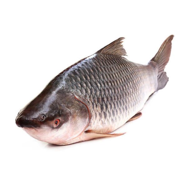 Rui Fish (রুই মাছ) 2kg (±) Per 1kg